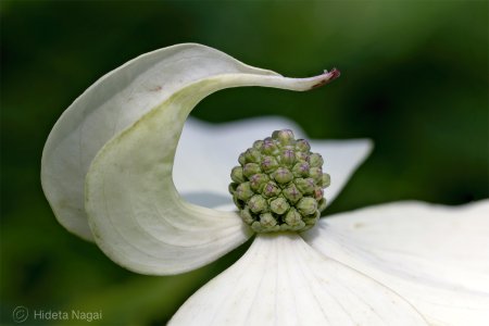 R509_7203-composite.jpg