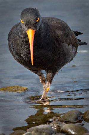 LE_10-6322.jpg LE_10-6322.jpg