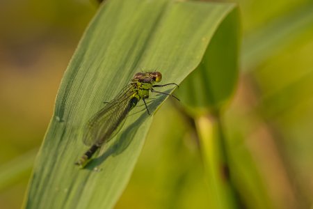 R51J0221_DxO.jpg
