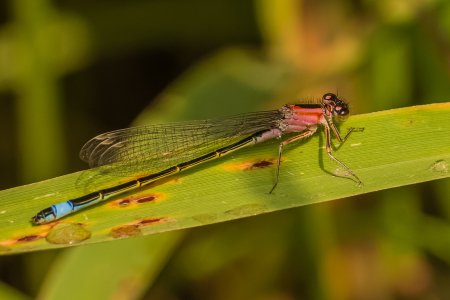 R51J0231_DxO.jpg