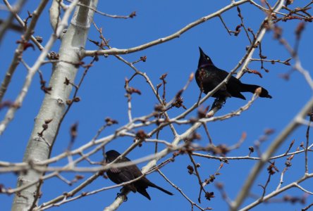 IMG_1843a.jpg IMG_1843a.jpg