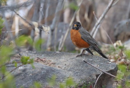 IMG_1855a.jpg IMG_1855a.jpg