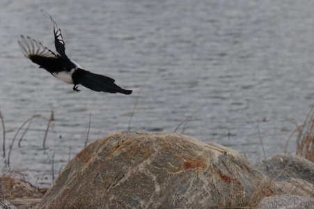 IMG_1880a.jpg IMG_1880a.jpg