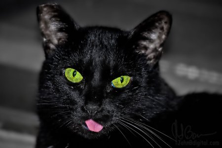 A6404565-12-12-2022_01-f.jpg