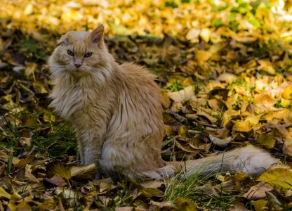 Mouchi Miu_IMG_1804.jpg