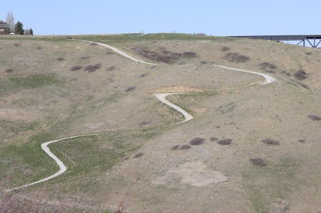 IMG_1905a.jpg IMG_1905a.jpg