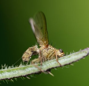 DSC_5291.jpg