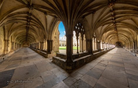 20190318-_W5A9455-HDR.jpg