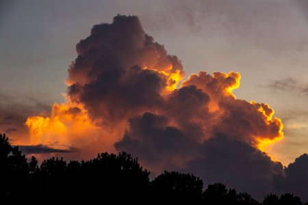 IMG_3608-Edit-1-2.jpg