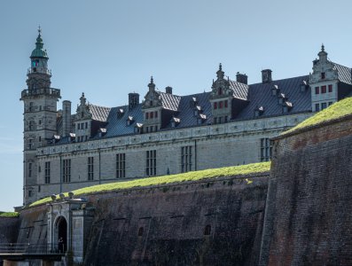 P1000598.jpg