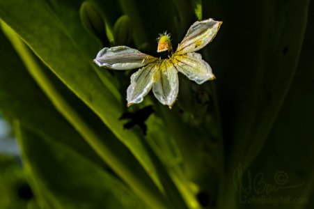 A6405878-f.jpg