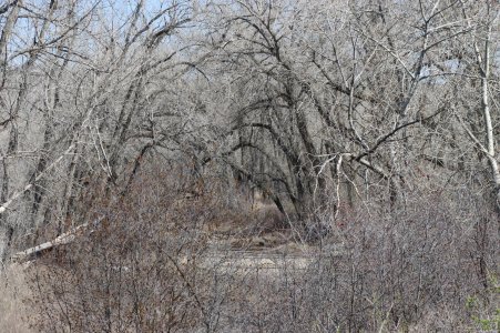 IMG_1934a.jpg IMG_1934a.jpg