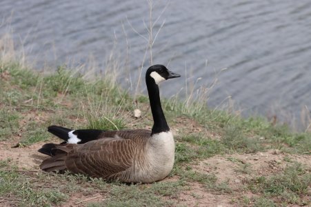 IMG_1965a.jpg IMG_1965a.jpg