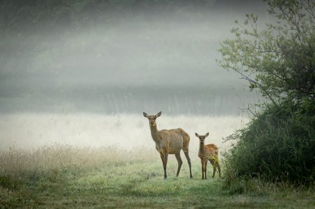 LE_12-8540.jpg LE_12-8540.jpg