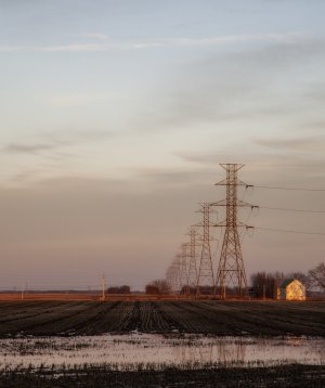 Electric Sunset.jpg