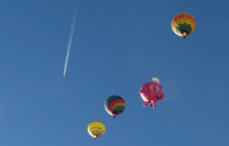IMG_5181.jpg