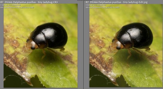 Diffraction softening in macro photography