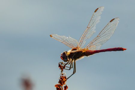 R7JK4184-Enhanced-NR-2.jpg