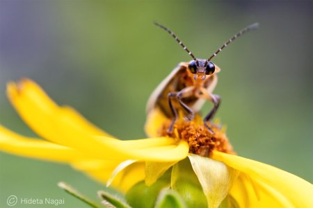 R509_9078.jpg