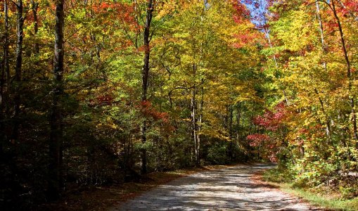 1071 GSMNP, TN.jpg