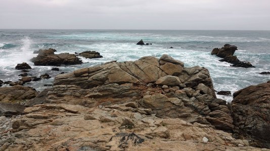 0688 Pebble Beach, CA.jpg