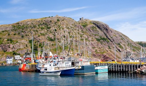 3046 St John's, NL.jpg