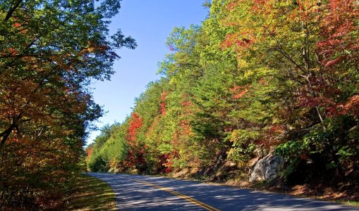 1060 GSMNP, TN.jpg