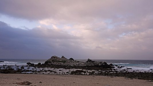0733 Monterey, CA.jpg