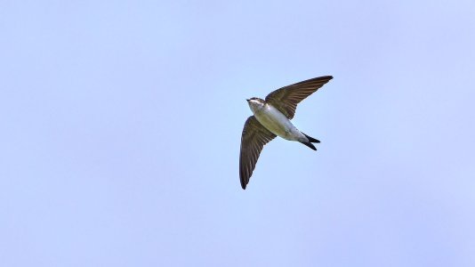 B6701327.jpg