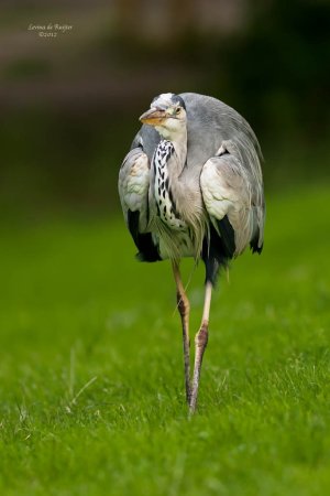 20120715_121.jpg