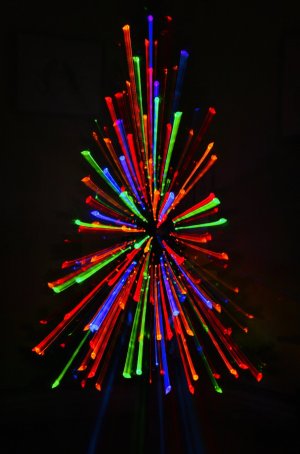 IMG_4205 AU-T w.jpeg