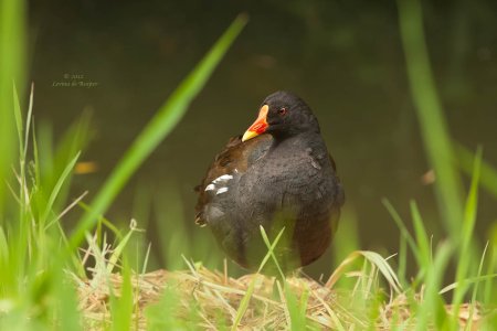 20120706_030.jpg