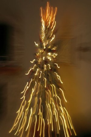 IMGP6255.jpg