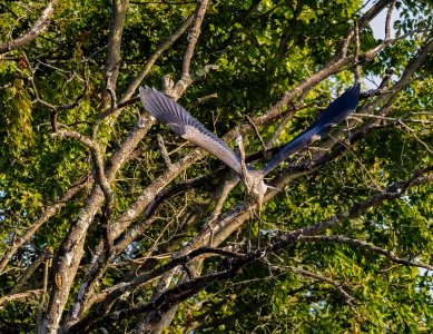 R62_2326-Edit-1-2.jpg