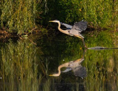 R62_2683-Edit-1-2.jpg