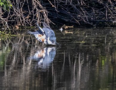 R62_2992-Edit-1-2.jpg