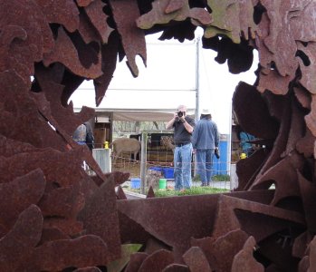 IMG_0245.jpg IMG_0245.jpg