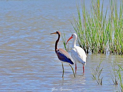 IMG_0151.JPG
