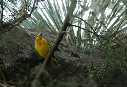 IMGP9003.jpg