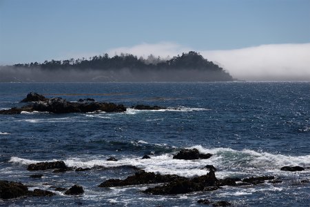 Foggy Point Lobos.jpg