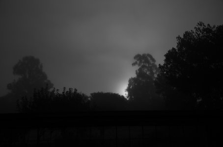 Mono-Sunrise-Fog-1000677.jpg