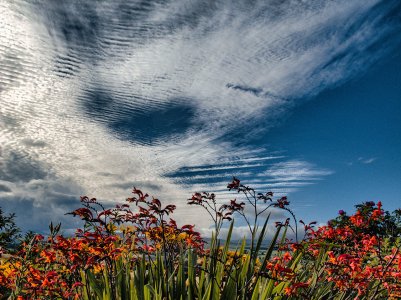 IMG_1888-HDR copy.jpg