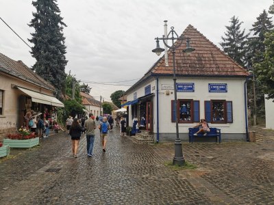IMG_20230725_110128.jpg