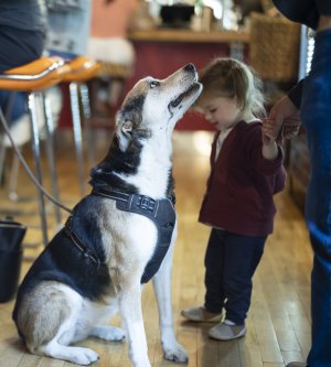 dog-3298.jpg