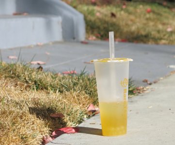 ylwdrinkcup9.29.24.jpg