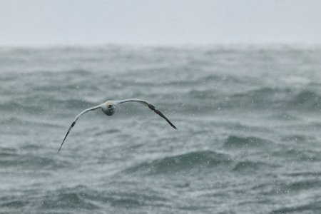 20240928EOS R5m20011180-CR3-DPXD2.jpg