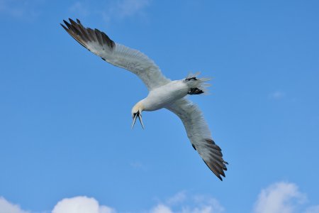 20240928EOS R5m20015859-CR3-DPXD2.jpg