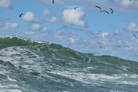 20240928EOS R5m20016207-CR3-DPXD2.jpg