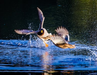 R62_5251-Edit-1-2.jpg