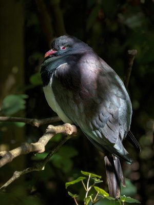 _5017960 LR copy.jpg